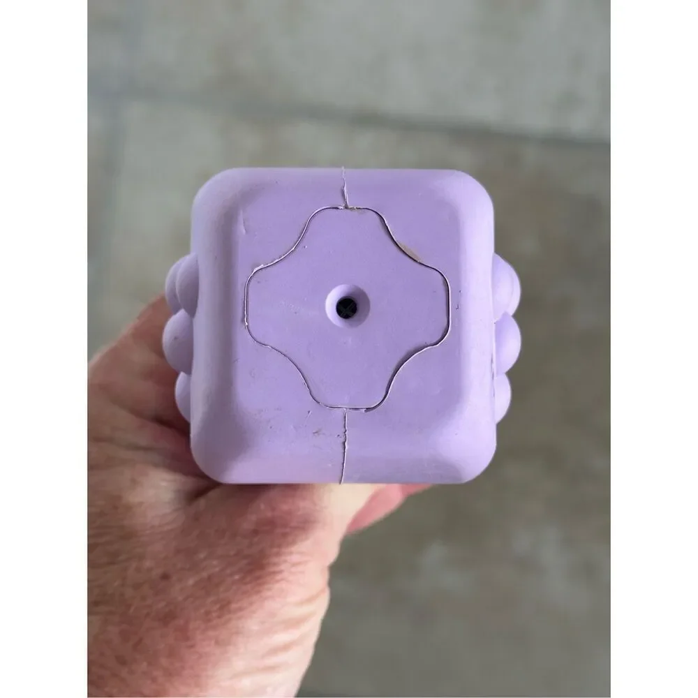 Bark Box Light Purple Super Chewer Dog Toy, “RARE Chews Box